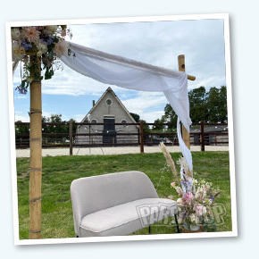 Backdrop Wedding
